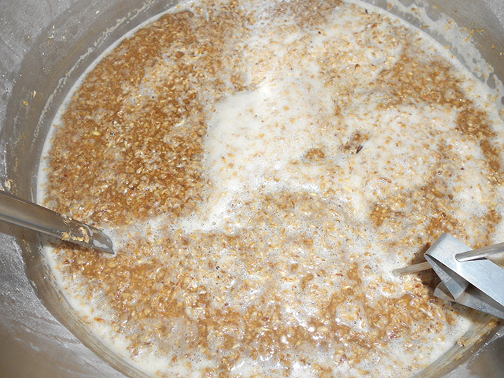 All-grain beer brewing